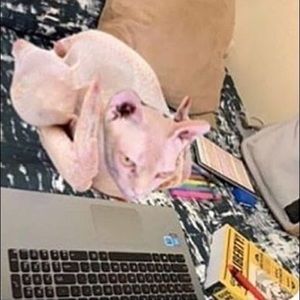 Meet your Posher, Loralei